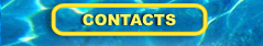 contacts