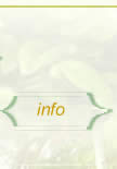 Information